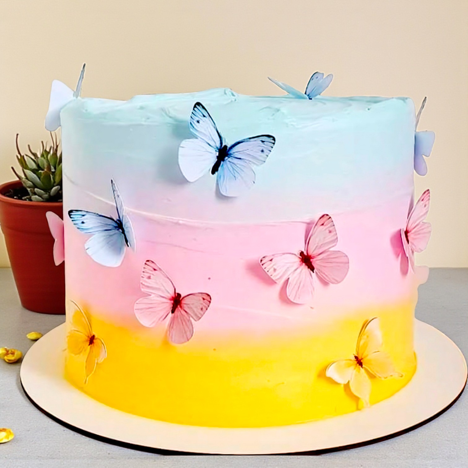 Butterfly Rainbow Cake