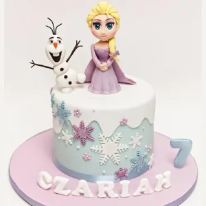 Elsa Winter Wonderland Cake