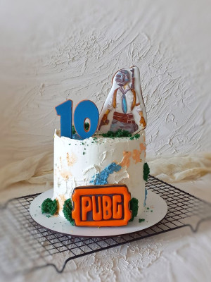 Pubg Theme Cake