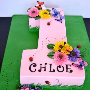 Twinkle's First Birthday Cake